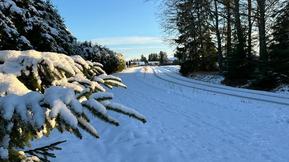 Tuore kuukausiennuste: Lumisateita voi tulla eteläänkin, pohjoiseen kunnon lumipeite Tuore kuukausiennuste: Lumisateita voi tulla eteläänkin, pohjoiseen kunnon lumipeite