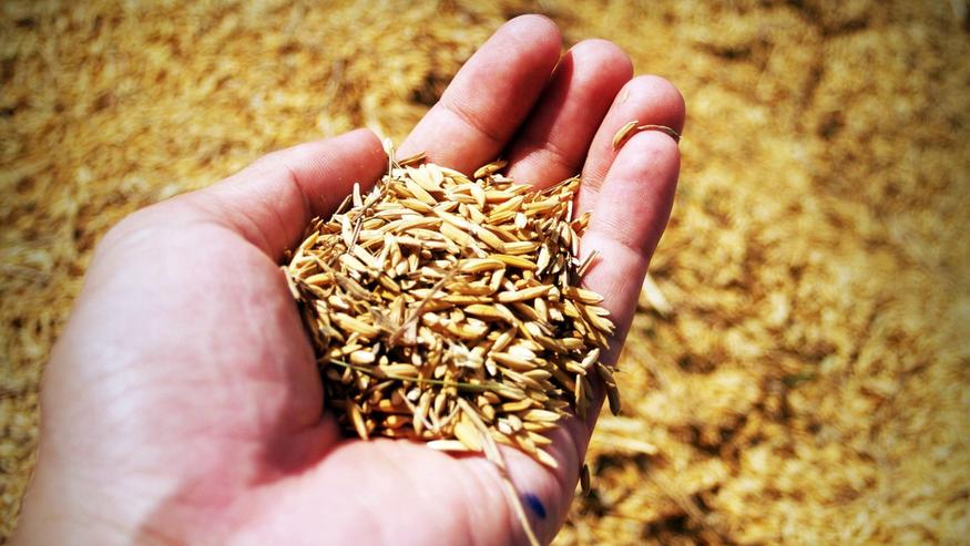 Super-El Niño alkaa näillä näppäimillä: Ruoan hintaan uhkaa tulla huomattava muutos Super-El Niño alkaa näillä näppäimillä: Ruoan hintaan uhkaa tulla huomattava muutos