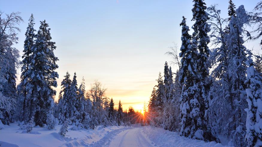 Lapin lämpötiloissa on suurta paikallista vaihtelua: Miksi tunturin huipulla on lauhempaa kuin laaksossa? Lapin lämpötiloissa on suurta paikallista vaihtelua: Miksi tunturin huipulla on lauhempaa kuin laaksossa?