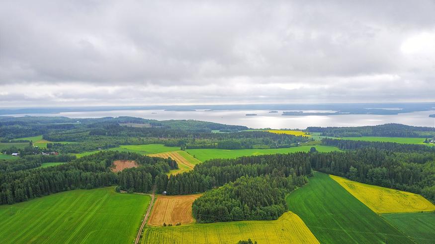 Pilvityypit – mitä eri pilviä taivaalla voi nähdä? Pilvityypit – mitä eri pilviä taivaalla voi nähdä?