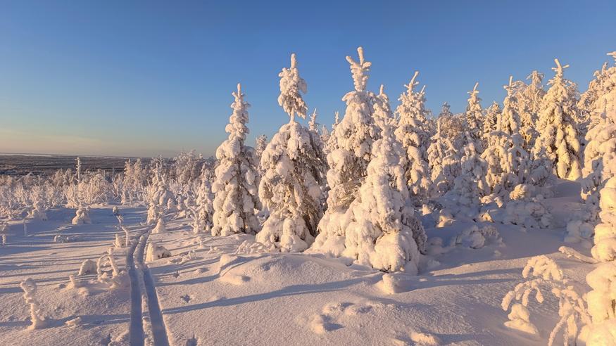 Tuore kuukausiennuste: Talvi kiristää taas otettaan Tuore kuukausiennuste: Talvi kiristää taas otettaan