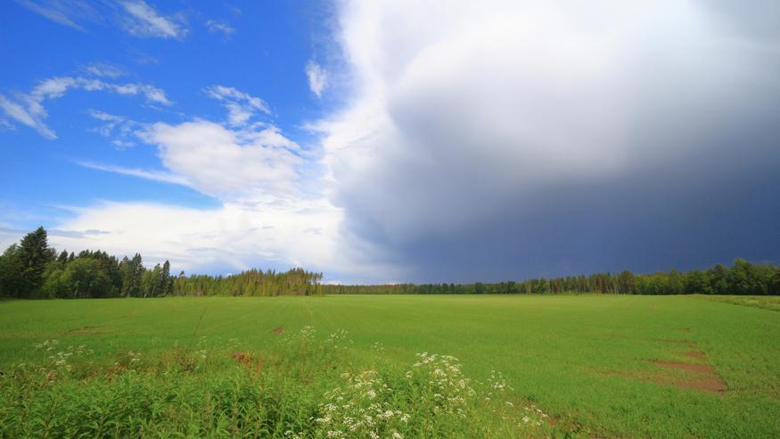 Ensivilkaisu juhannuksen säähän - hyvältä näyttää! Ensivilkaisu juhannuksen säähän - hyvältä näyttää!