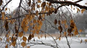 Virolahdella ennätys murskattu – vuorokaudessa 79 mm vettä Virolahdella ennätys murskattu – vuorokaudessa 79 mm vettä