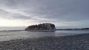 Loppuviikon ja itsenäisyyspäivän sää: Minkälaisessa säässä vietetään Linnan juhlia? Loppuviikon ja itsenäisyyspäivän sää: Minkälaisessa säässä vietetään Linnan juhlia?