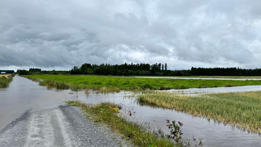 Tämän elokuun tilastoista paljastuu yksityiskohta, jota ei ole koettu yli 30 vuoteen: Tämän elokuun tilastoista paljastuu yksityiskohta, jota ei ole koettu yli 30 vuoteen: