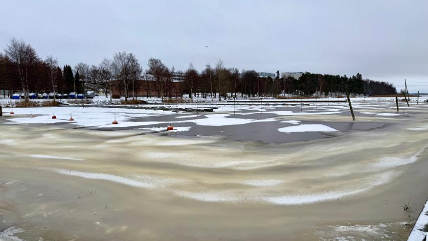 Alkavalla viikolla sää on lauhaa – vähäiset lumet hupenevat maan etelä- ja keskiosasta Alkavalla viikolla sää on lauhaa – vähäiset lumet hupenevat maan etelä- ja keskiosasta