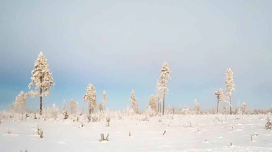 Mitä vaaraa on liiasta kylmyydestä? Mitä vaaraa on liiasta kylmyydestä?