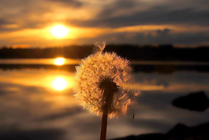 Joskus kesän katsotaan alkavan vasta kesäpäivänseisauksesta.