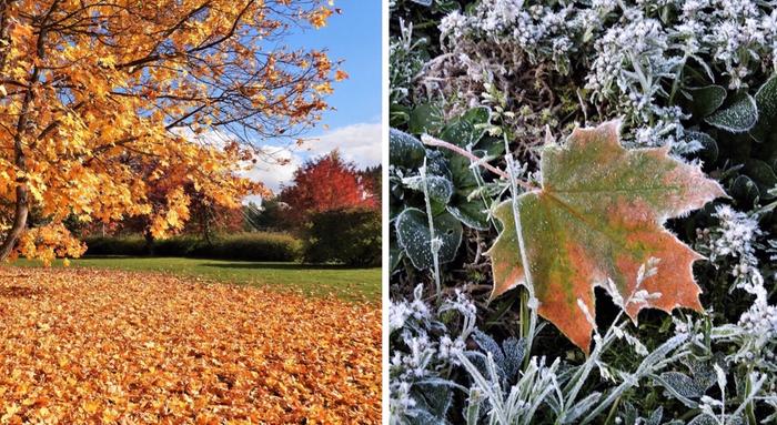 Syksy Ruskaa ja kylmiä öitä.