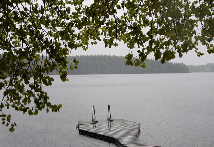 Sadetta Sadetta ja harmaata.