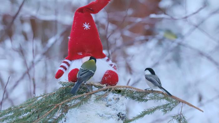 Joulutunnelmaa Virroilla.