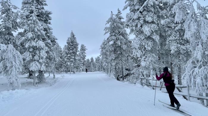 Hiihto Saariselällä hiihdettiin pikkupakkasessa ja pilvisessä säässä joulukuussa 2022.