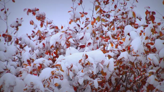 Lunta Virroilla satoi reilusti lunta lokakuun lopussa 2023.
