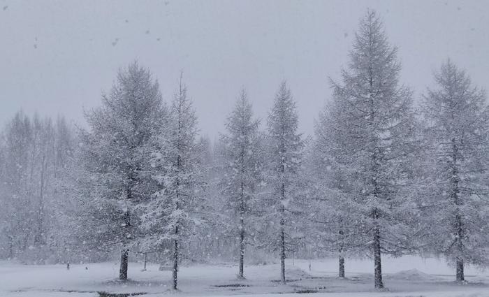 Kajaanissa tuli sakeita lumikuuroja huhtikuun lopussa 2022.