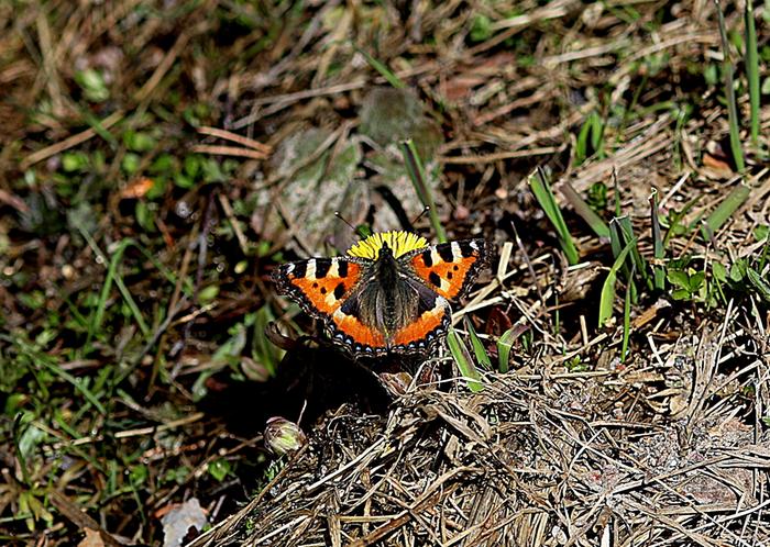 Lämmin huhtikuun päivä Virroilla.