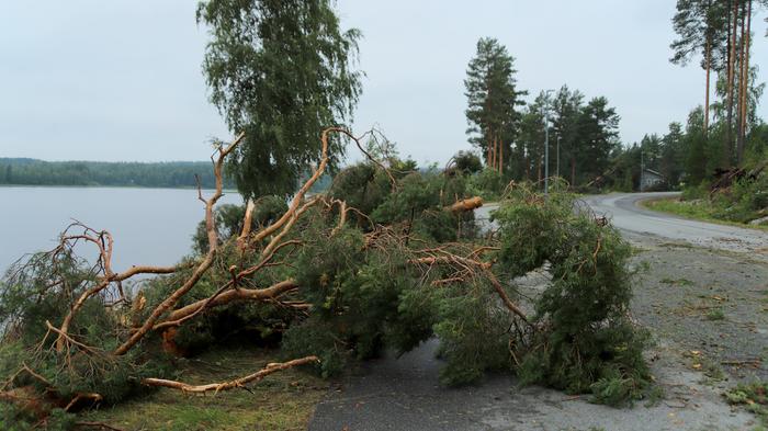 Verneri-rajuilma kaatoi puita Virroilla 17. elokuuta 2022.
