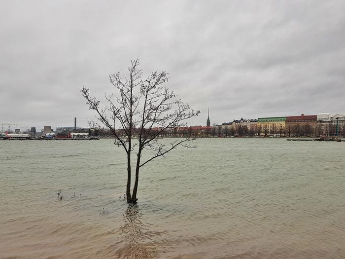 Myrskyn aikana merenkorkeus kohosi.