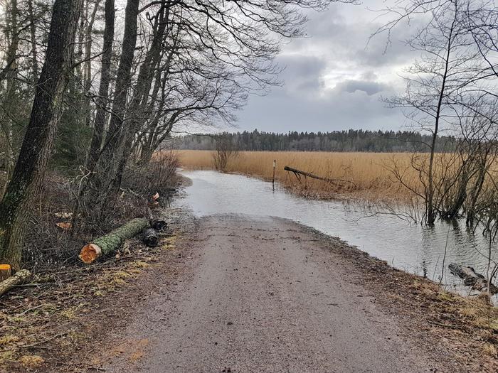 Pitkään kestäneet lounaistuulet nostivat meriveden lenkkipolulle.