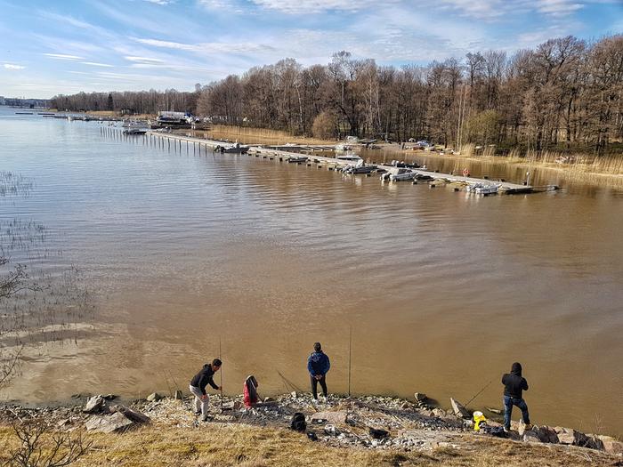 Merivesi on monin paikoin nyt sameaa, kun talven runsaat sateet ovat huuhtoneet epäpuhtauksia maa-alueilta.