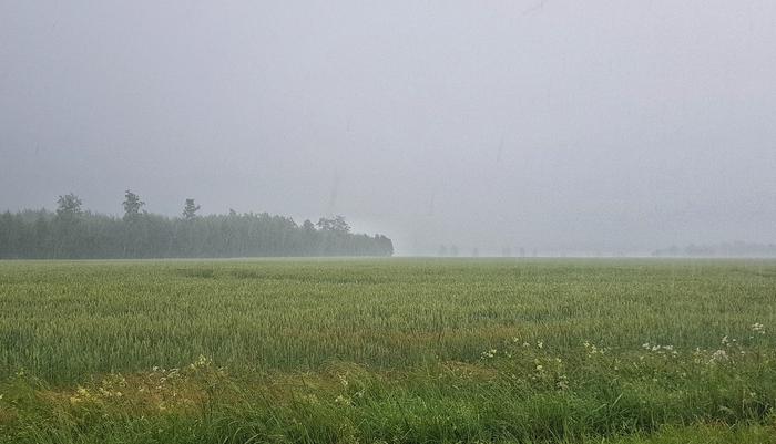 Rankkoja saderyöppyjä on luvassa varsinkin heinäkuun alkupuolella.