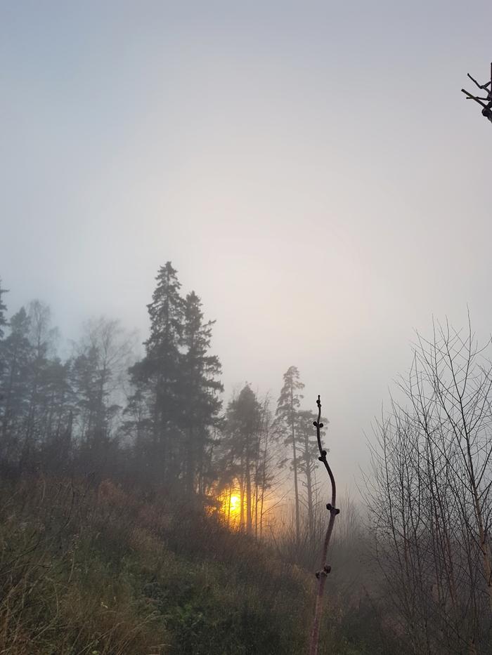 Valoisa aika alkaa pidentyä maanantain jälkeen pohjoisella pallonpuoliskolla.