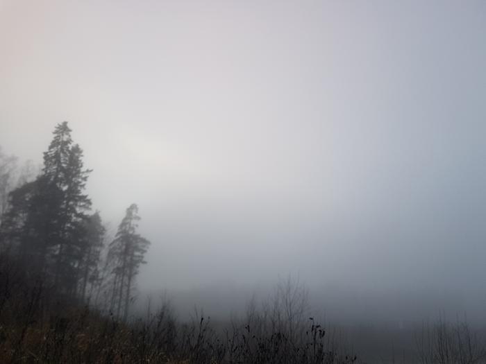 suttuinen Sumuinen ja leuto sää