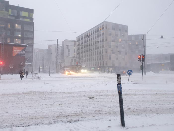 Lumi kinostui kaduille Helsingissä Toini-pyryssä.
