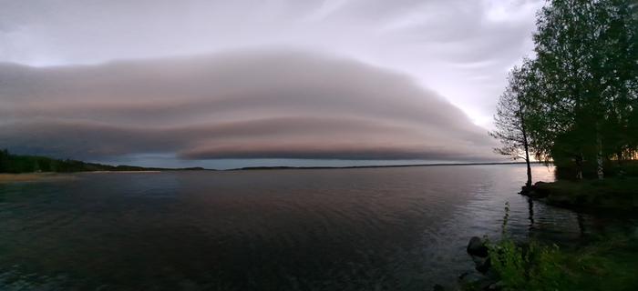 Vyörypilvi Liperissä toukokuussa 2021.