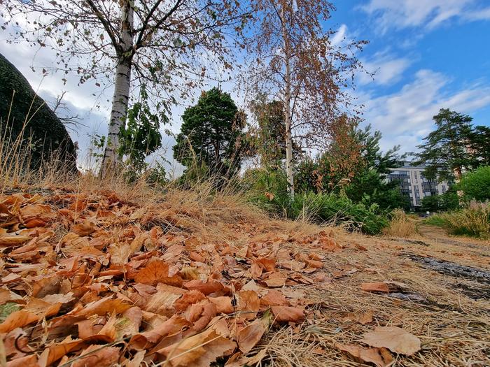 Osalla havaintoasemista kulunut kesä on ollut mittaushistorian kuivin.