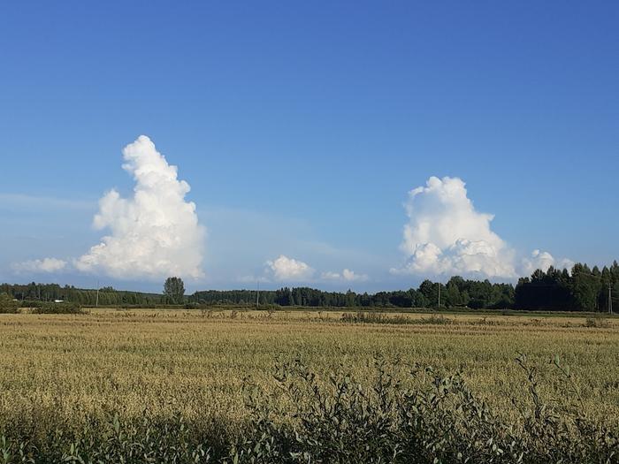 Cumulus congestus -pilviä horisontissa.