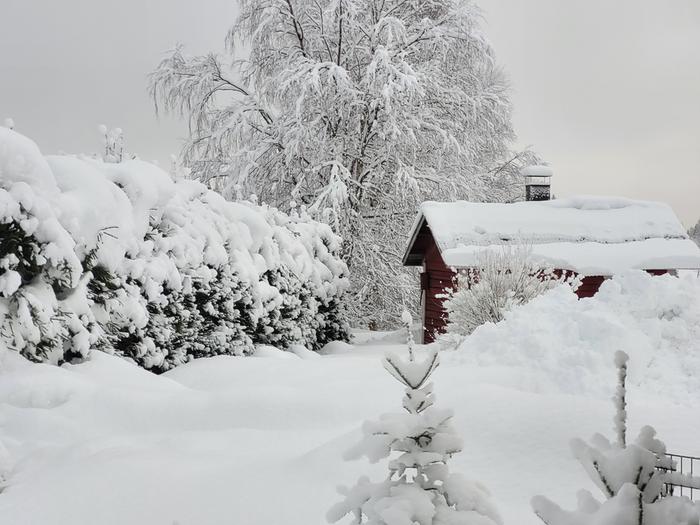 Runsaasti lunta Nurmeksessa helmikuussa 2022.