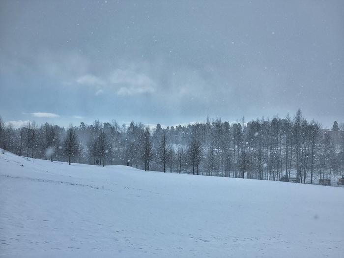 Sankka huhtikuinen lumikuuro