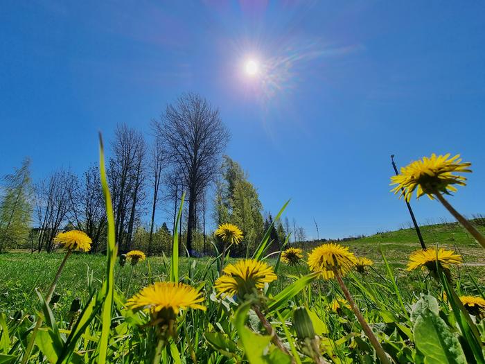 Toukokuinen auringonpaiste.