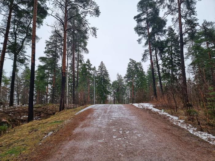 Lauhaa Helsingissä Lauha talvisää