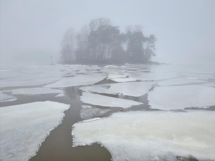 Sumua Sumua Helsingissä helmikuussa 2023.