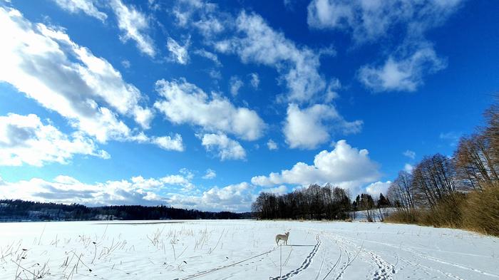 Kevättalvinen päivä Lohjanjärvellä.