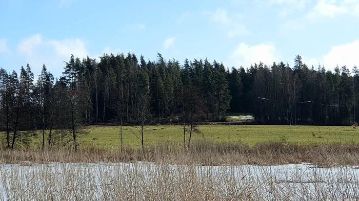 Maaliskuu Maaliskuinen päivä Lohjalla.