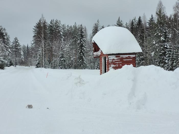 Nurmeksessa tuli runsaita lumisateita maaliskuun loppupuolella 2023.