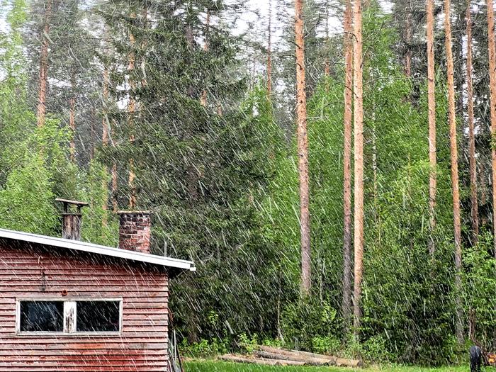 Nurmeksessa Pohjois-Karjalassa satoi lunta 1. kesäkuuta 2023.