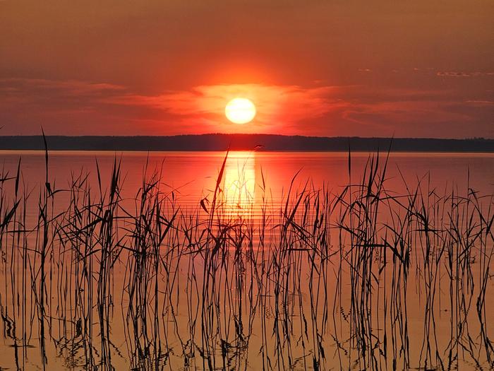 Auringonlasku Kesäkuinen auringonlasku.