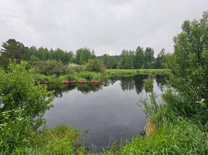 Epävakainen kesäpäivä