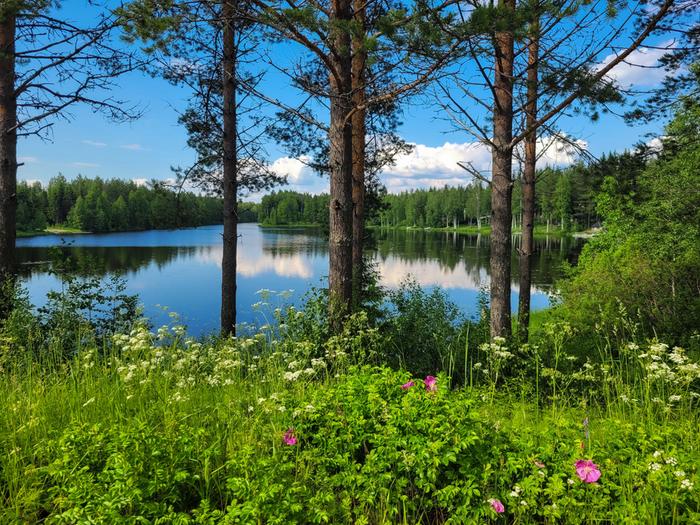 Nurmeksessa pilvipoutainen päivä sateiden jälkeen.