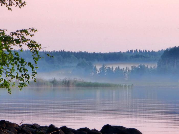Usva nousi ukkoskuuron jälkeen.