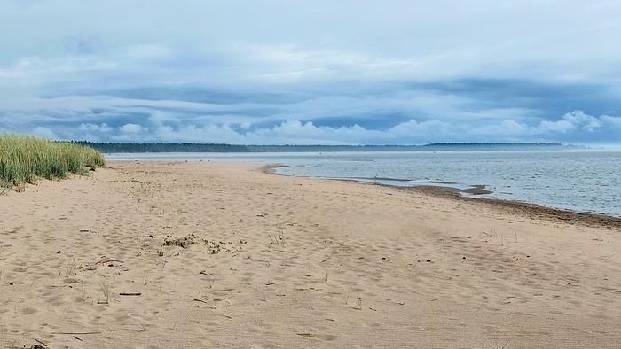 Autio heinäkuinen hiekkaranta Lohtajalla.