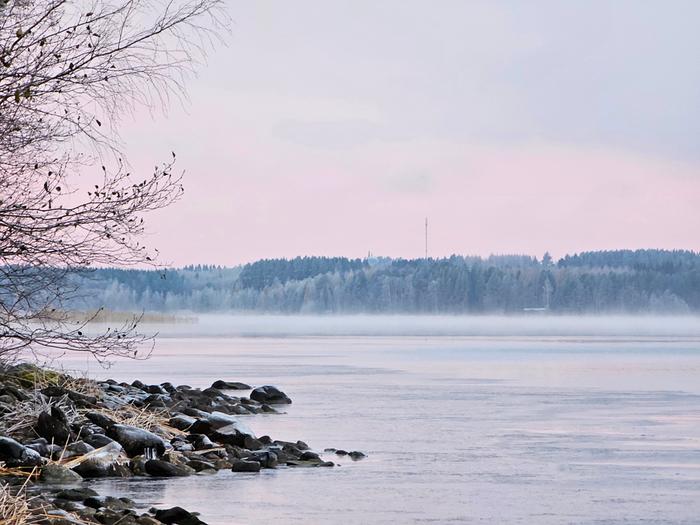 Pakkasaamun pastellisävyt Rääkkylässä.
