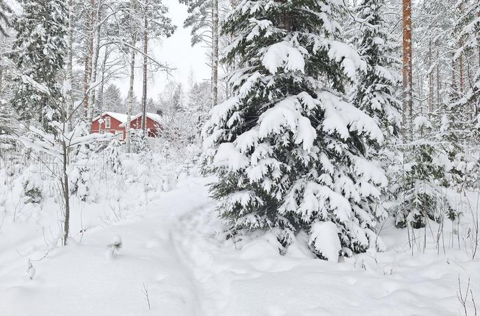 Luminen ja kylmä talvipäivä.