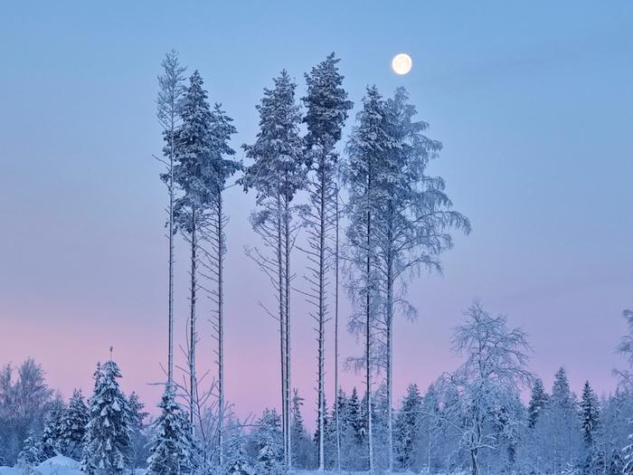 Pakkasaamun värit Pakkasaamun pastellivärejä.