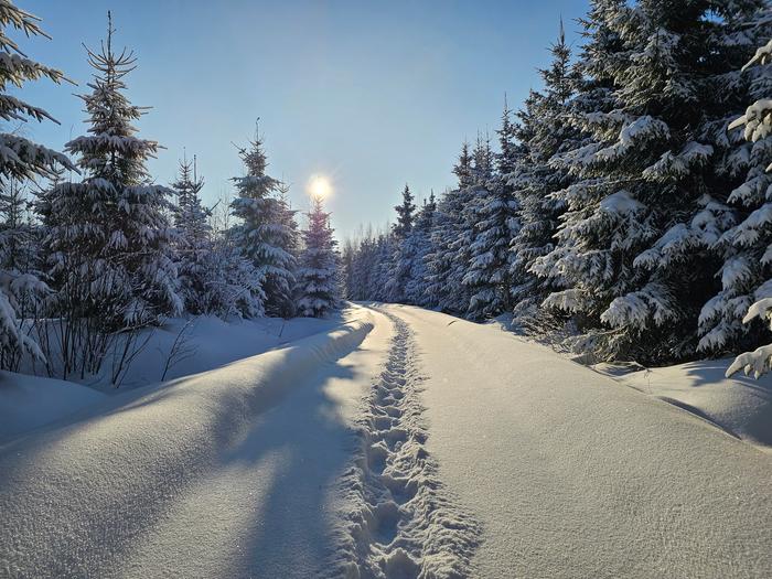 Aurinkoinen pakkaspäivä Rääkkylässä.