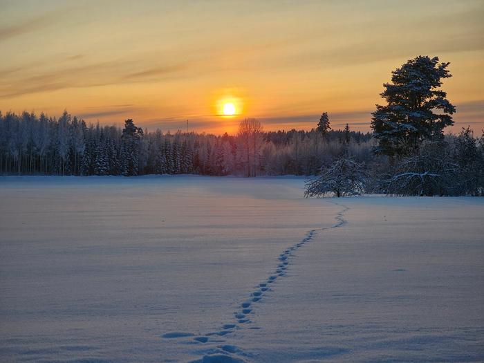 Helmikuun auringonpaiste