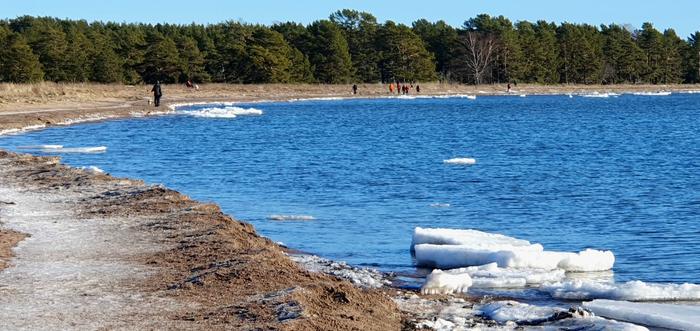 Helmikuinen päivä Hangossa.